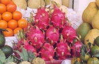fruit du dragon